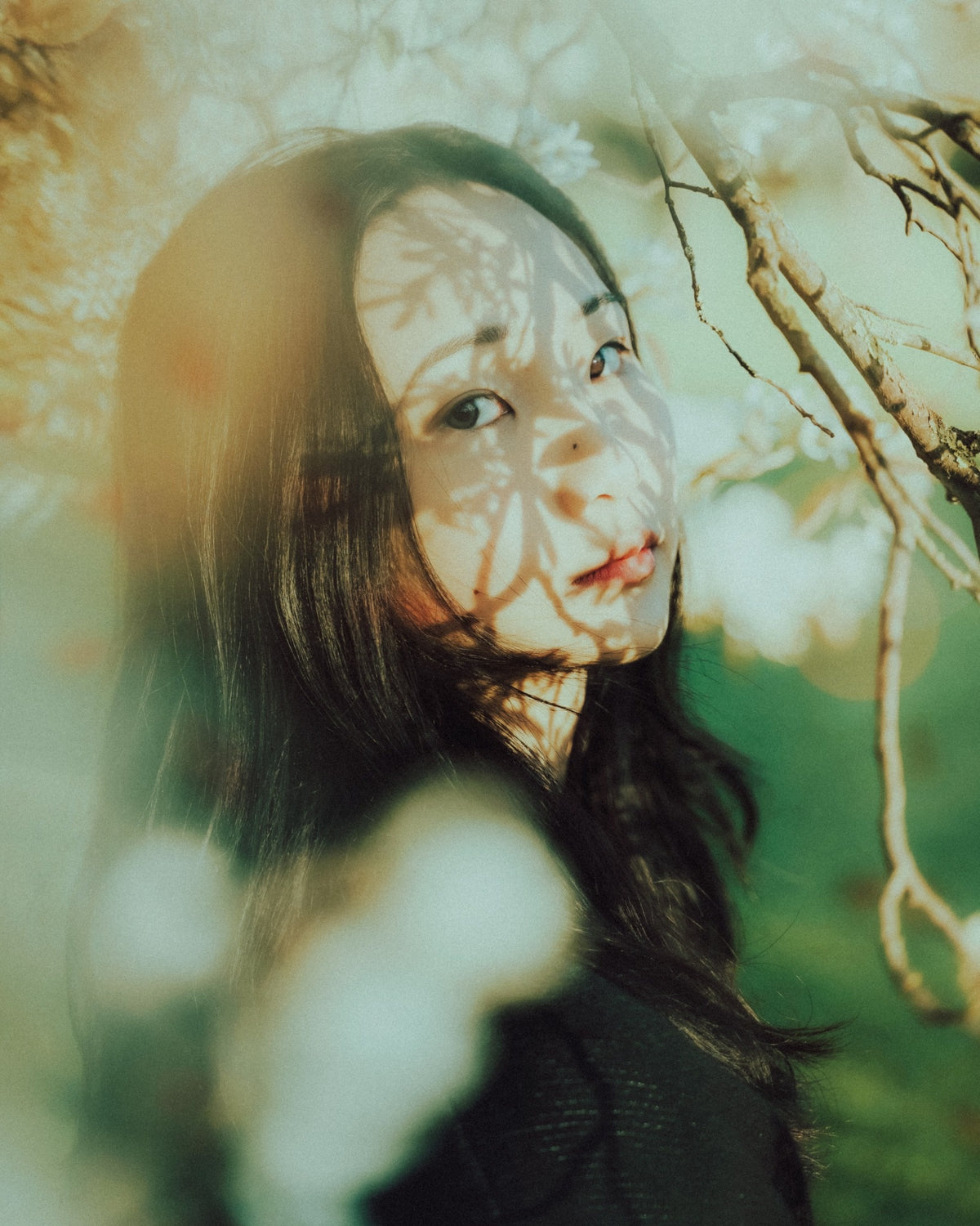 Reverie